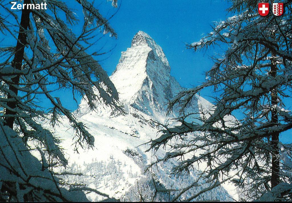 Postcards 20979 w Matterhorn