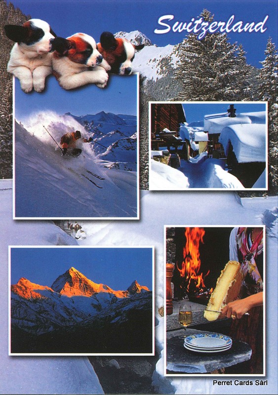 Postcards 91134 Switzerland (Raclette, Bernhardinerhunde)