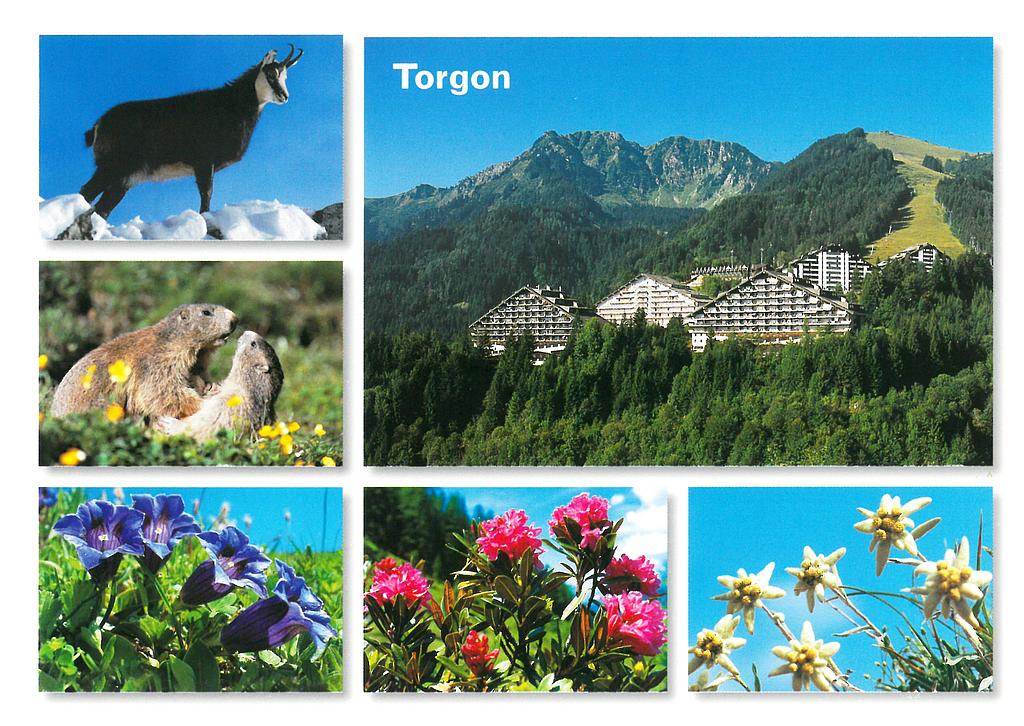 Postcards 22595 Torgon, Portes du Soleil