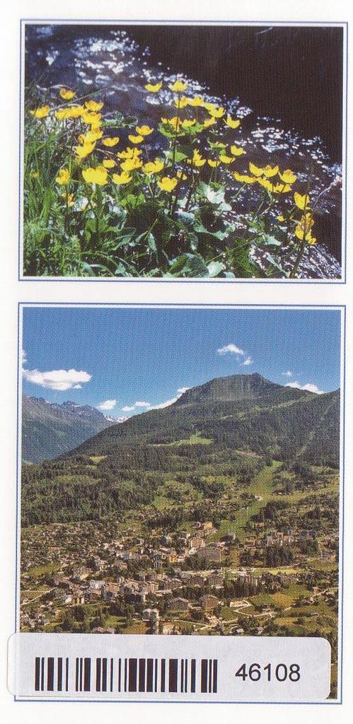 Postcards 46108 Nendaz
