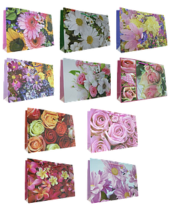 Geschenktaschen L 3.90/St. (x10=VE)