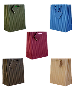 Geschenktaschen L 3.90/St. (x10=VE)