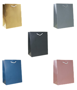 Geschenktaschen M 2.90/St. (x10=VE)