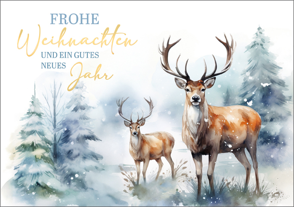 Karte A5 Frohe Festtage