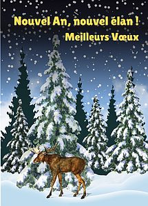 Carte Meilleurs Voeux