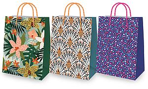 Sacs-cadeaux XL Fr. 4.90/pce (x10=UV)