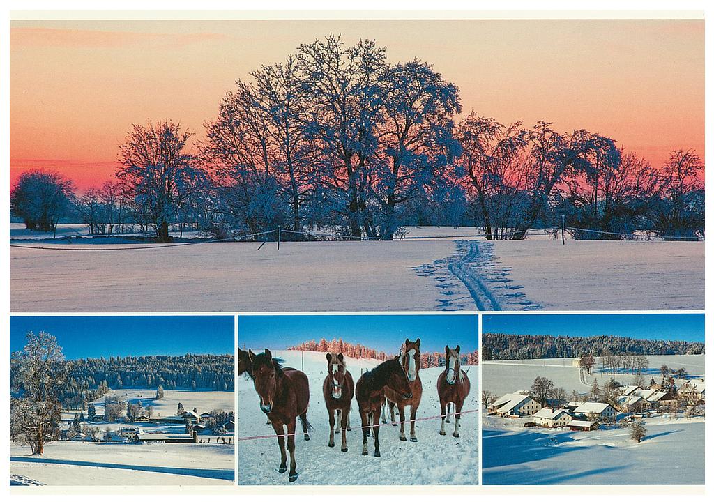 Postcards 27188 w Franches-Montagnes