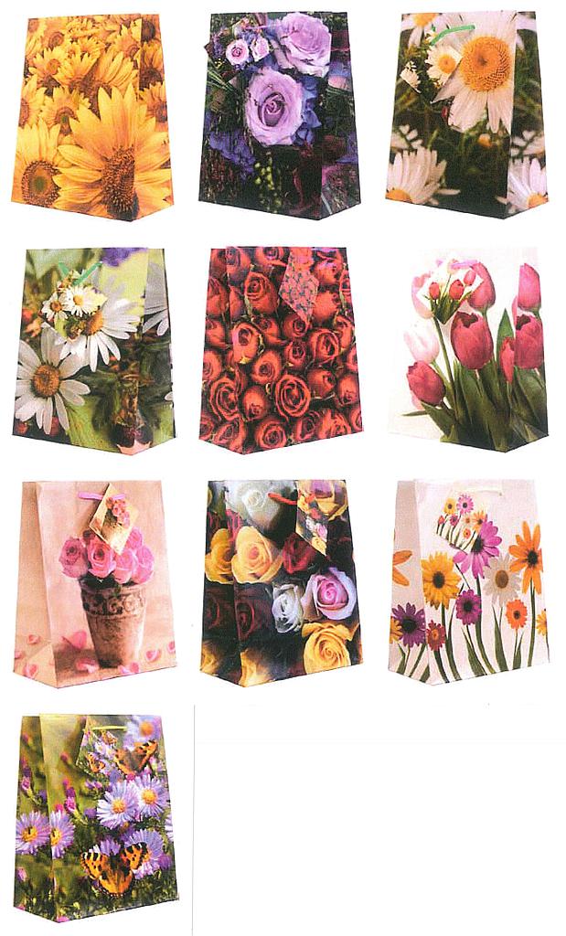 Sacs-cadeaux M Fr. 2.90/pce x10 (UV)