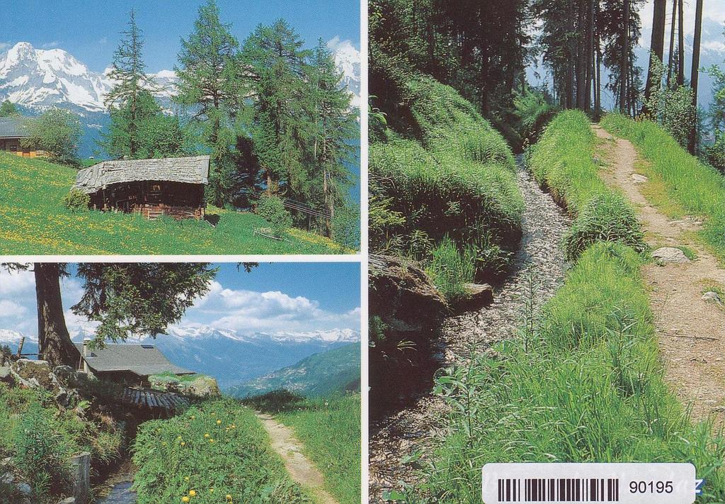 Postcards 90195 Valais Wallis