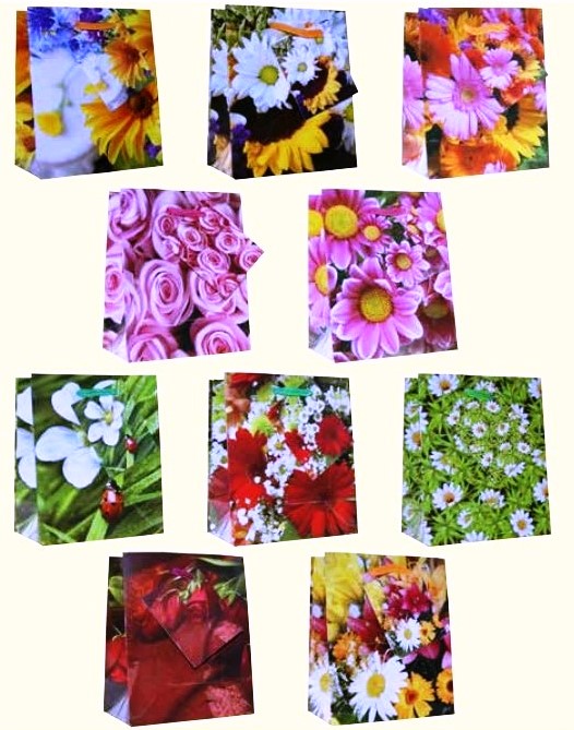 Série 10 sacs-cadeaux 1.90 S