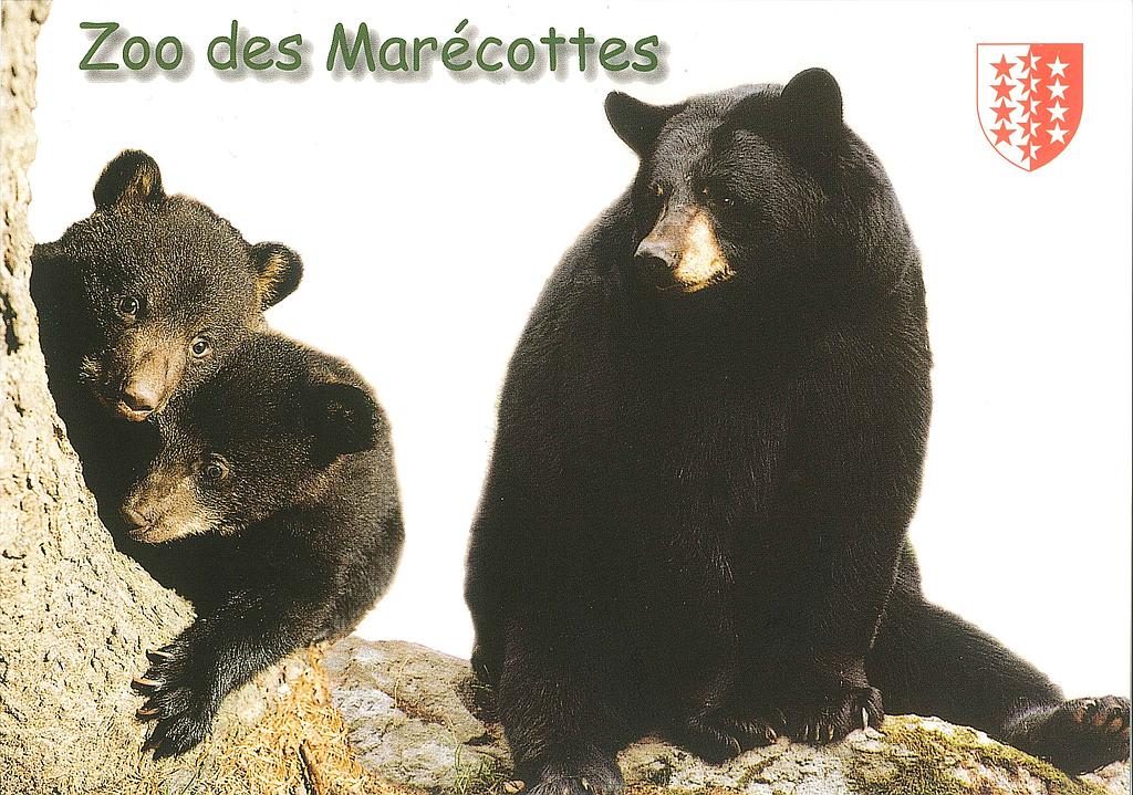 Postcards 28046 Zoo des Marécottes
