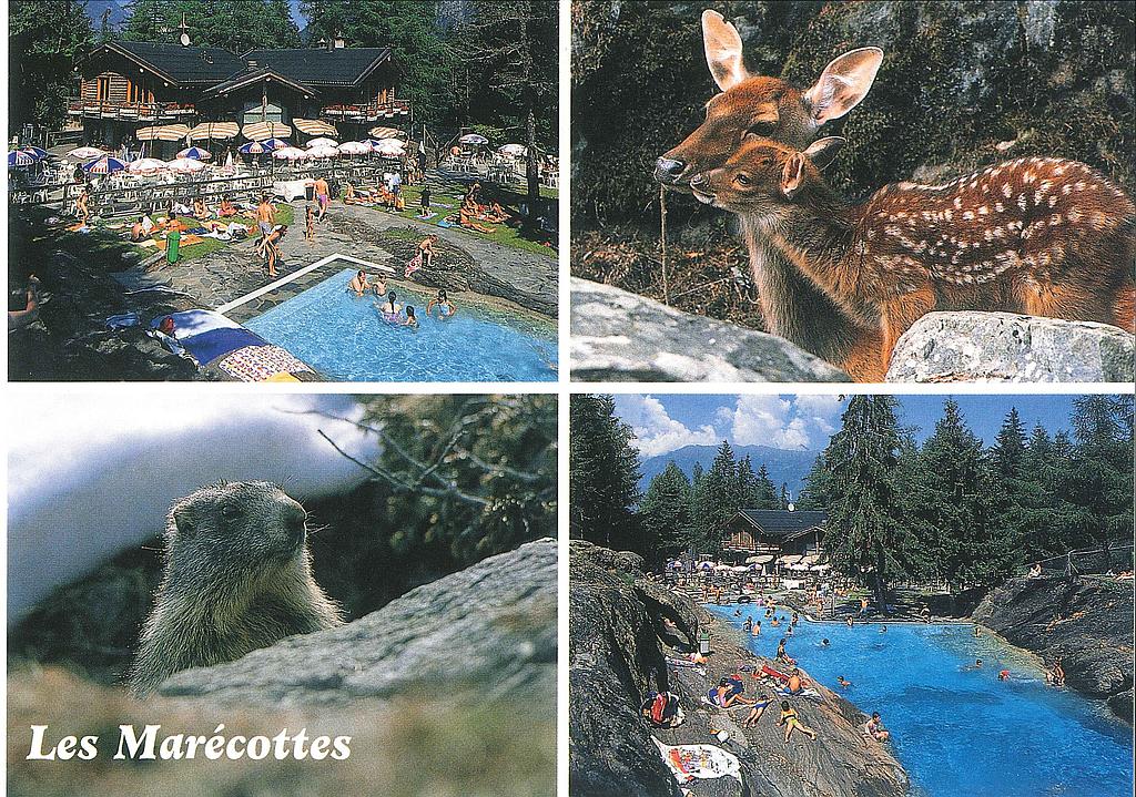 Postcards 28047 Les Marécottes