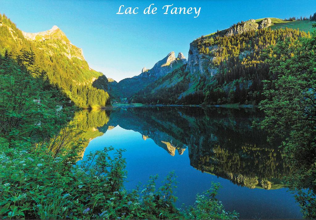 Postcards 29409 Lac de Taney