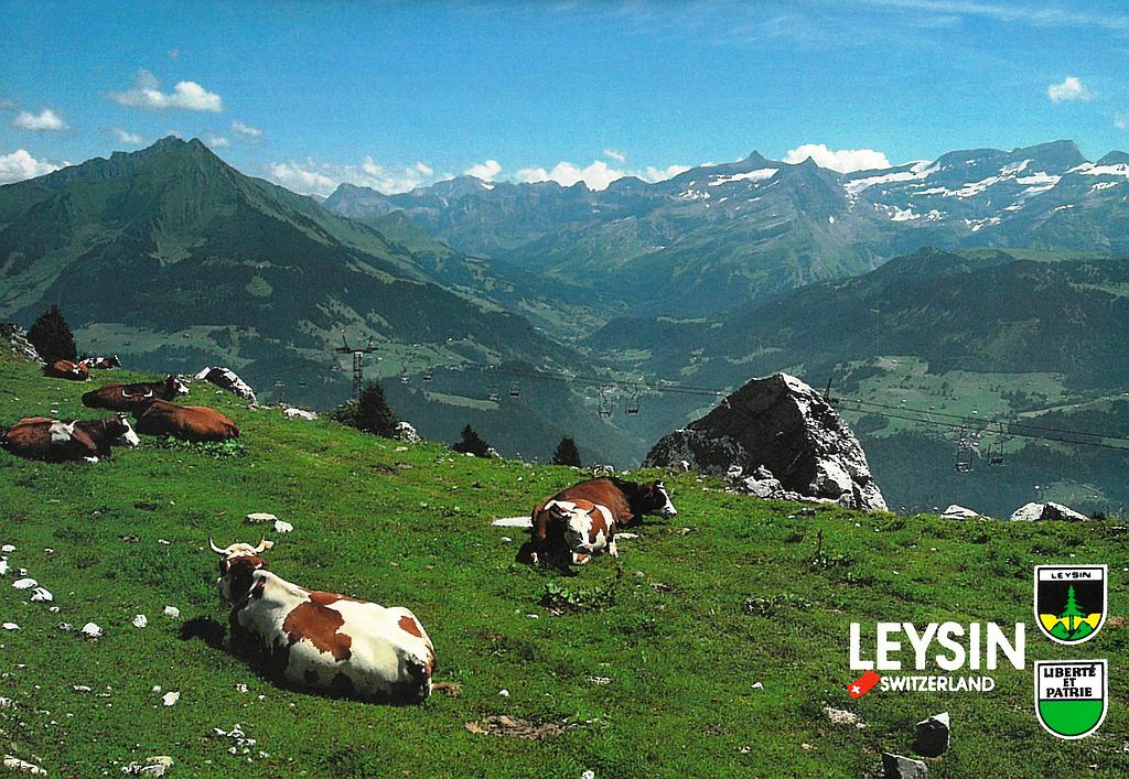 Postcards 17155 Les hauts de Leysin avec vue sur Les Diablerets