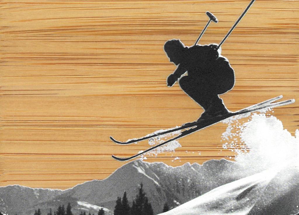 Aimant bambou Ski