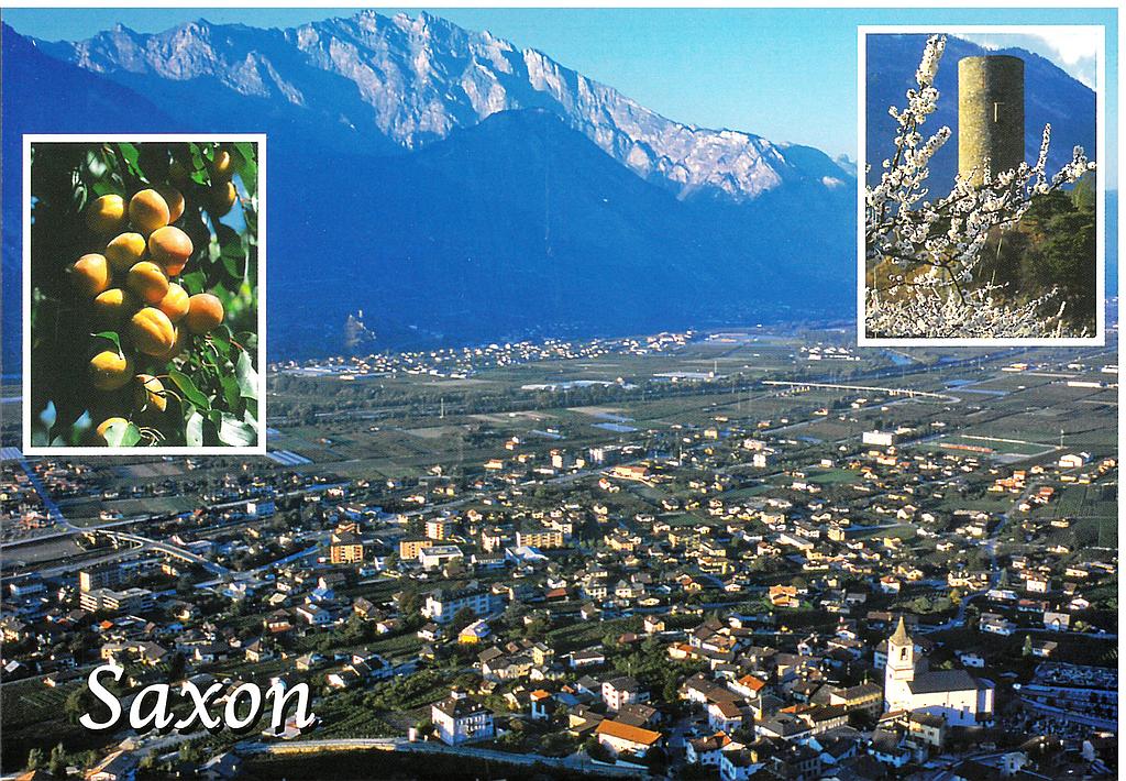 Postcards 44046 Saxon