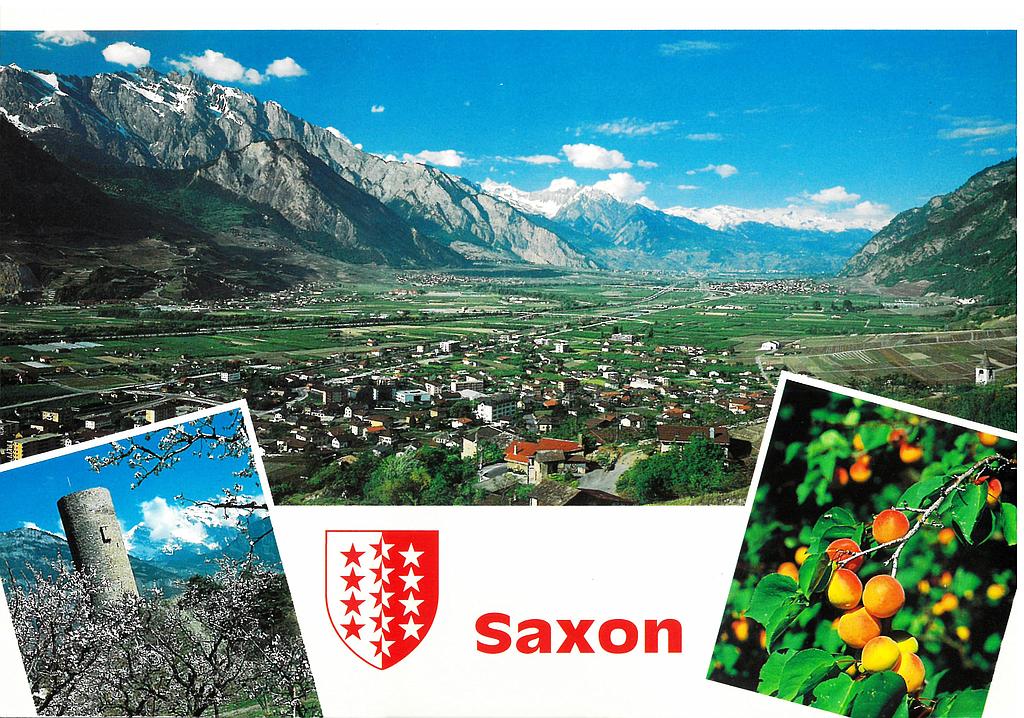 Postcards 44010 Saxon