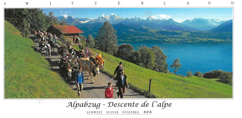 Postcards Pano 45437 Descente de l'alpe