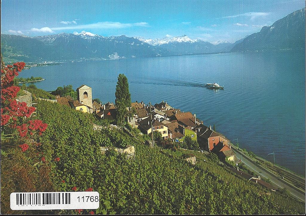 Postcards 11768 St-Saphorin