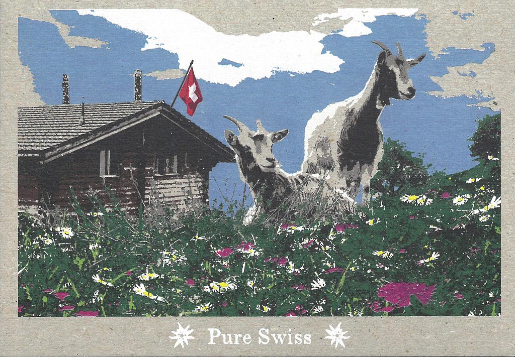 Postcards 51127 Pure Swiss Chèvres
