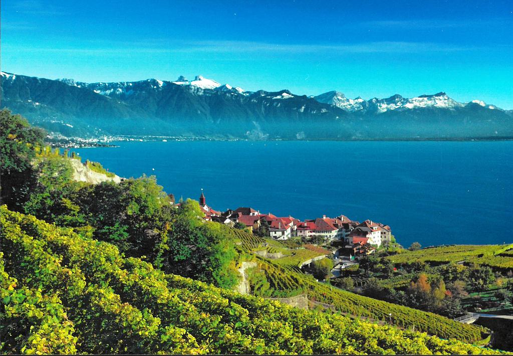 Postcards 26905 Lavaux