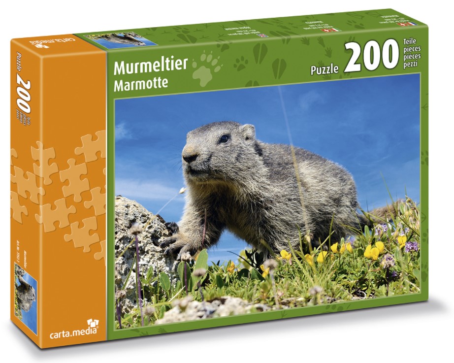 Puzzle 200 Teile Murmeltier