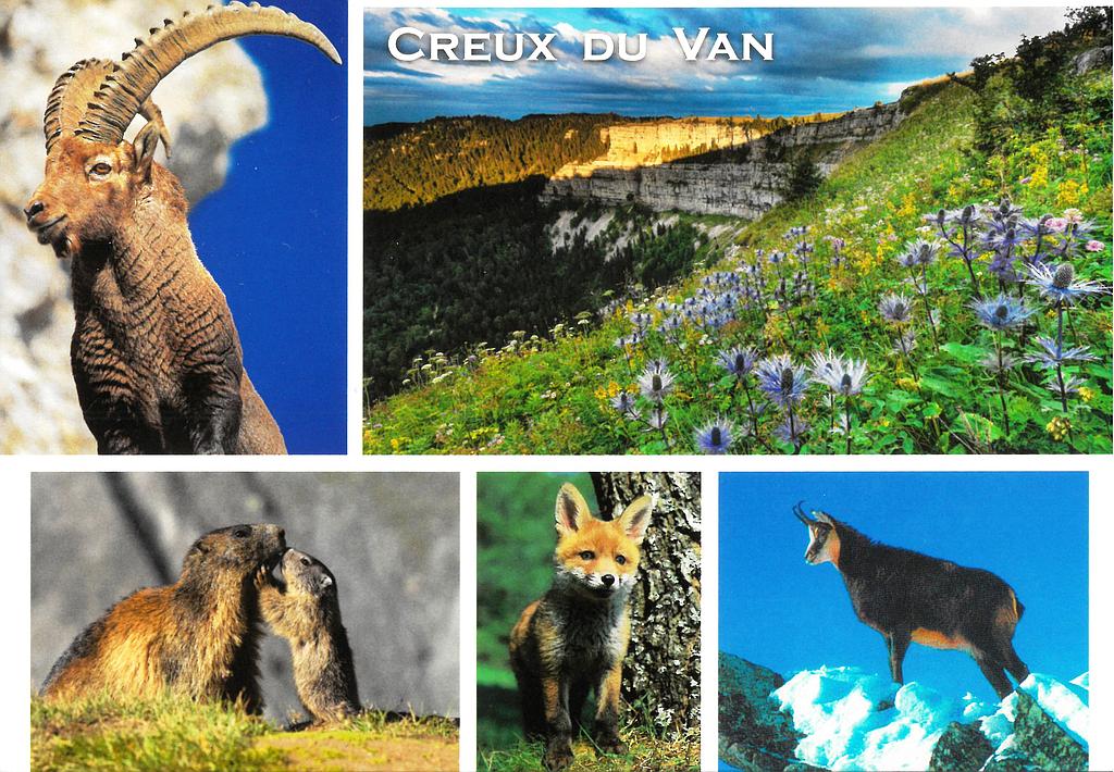 Postcards 29606 Le Creux du Van