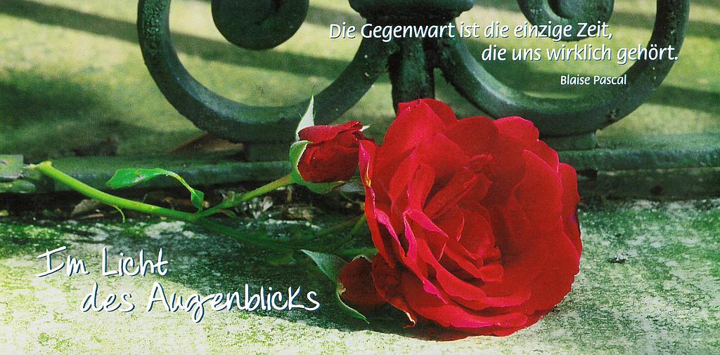 Postcards Pano 45336 Im Licht des Augenblicks +Spruch*