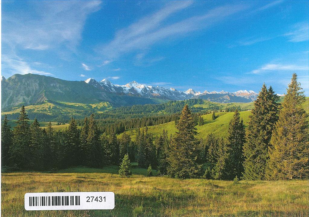 Postcards 27431 Hohgantgebiet (BE)