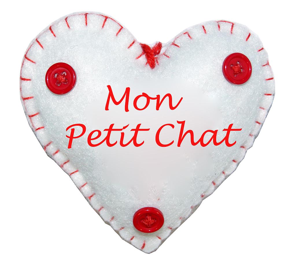 Coeur à suspendre "Mon petit chat"