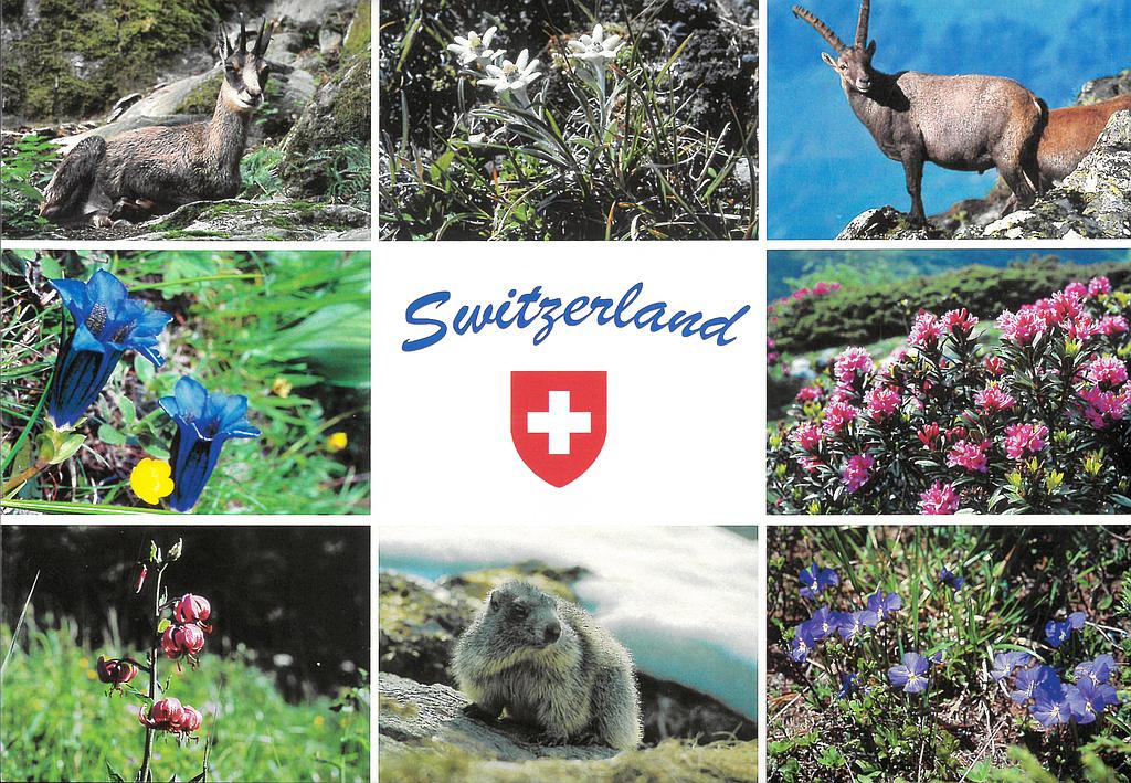 Postcards 90070 Switzerland