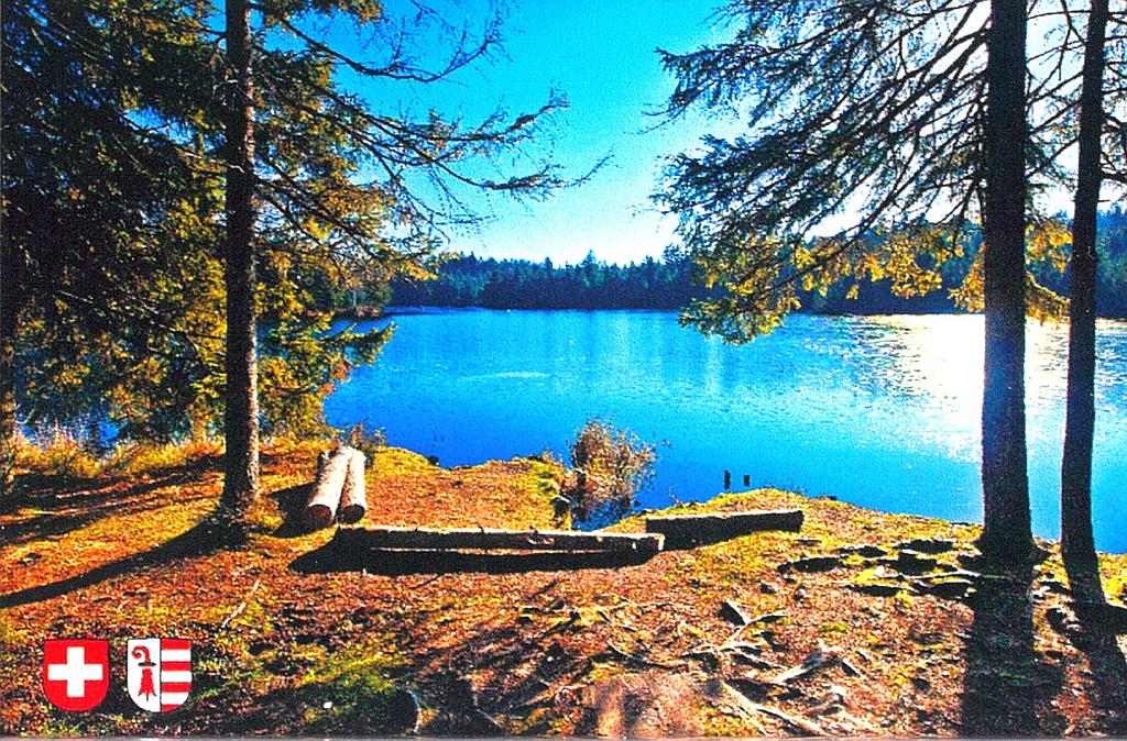Aimant en plexi Etang de la Gruère