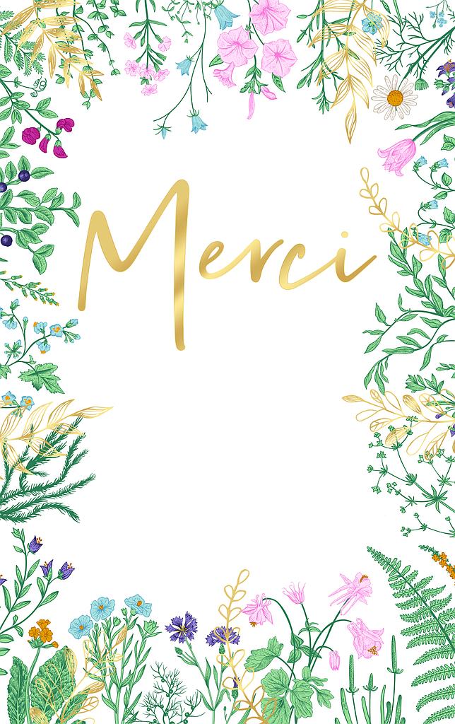 Pack 5 cartes simples Merci