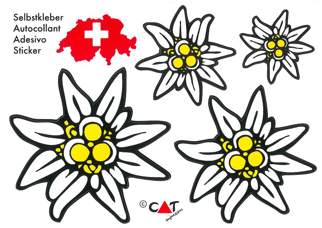 Postcards SK 465 Stickers Edelweiss