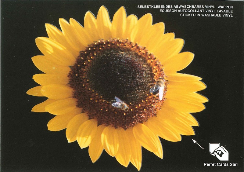 Postcards SK 466 Stickers Biene auf Sonnenblume