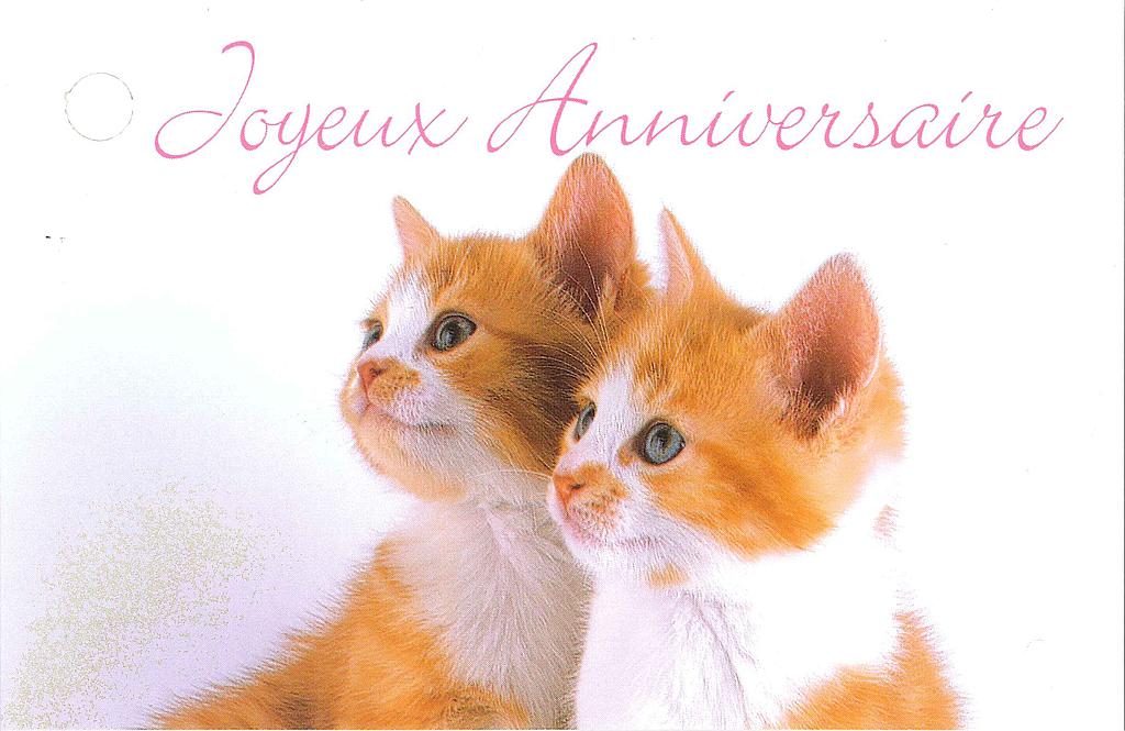 Mini cartes simples Anniversaire