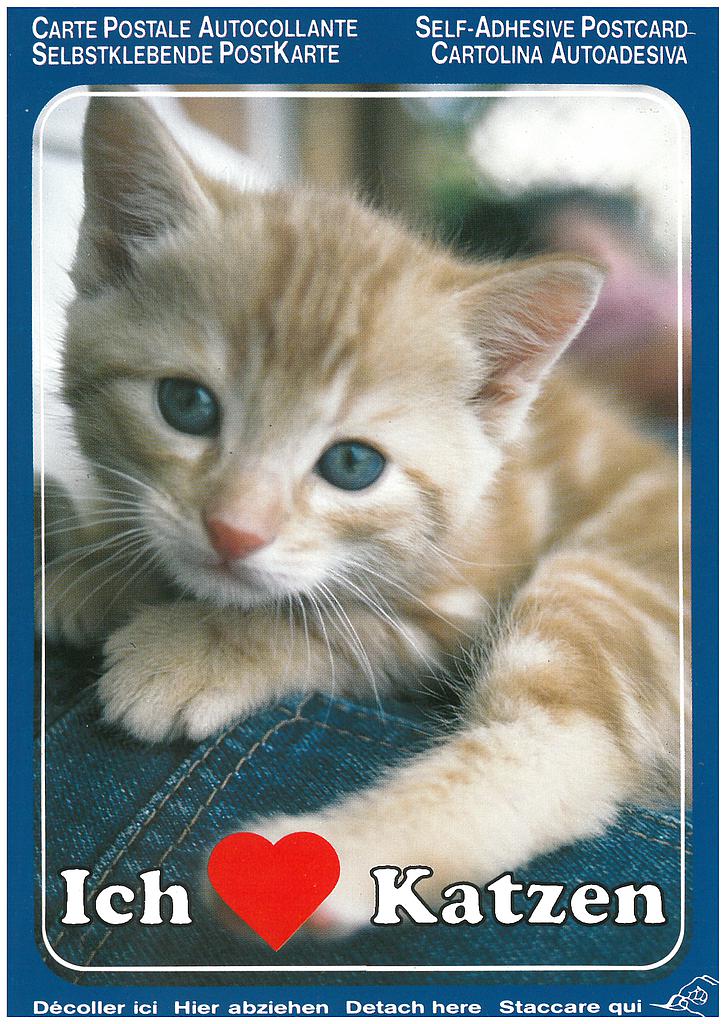 Postcards SK 375 Stickers 'Ich mag Katzen'