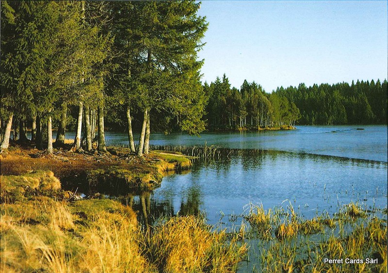 Postcards 20715 étang de la Gruère
