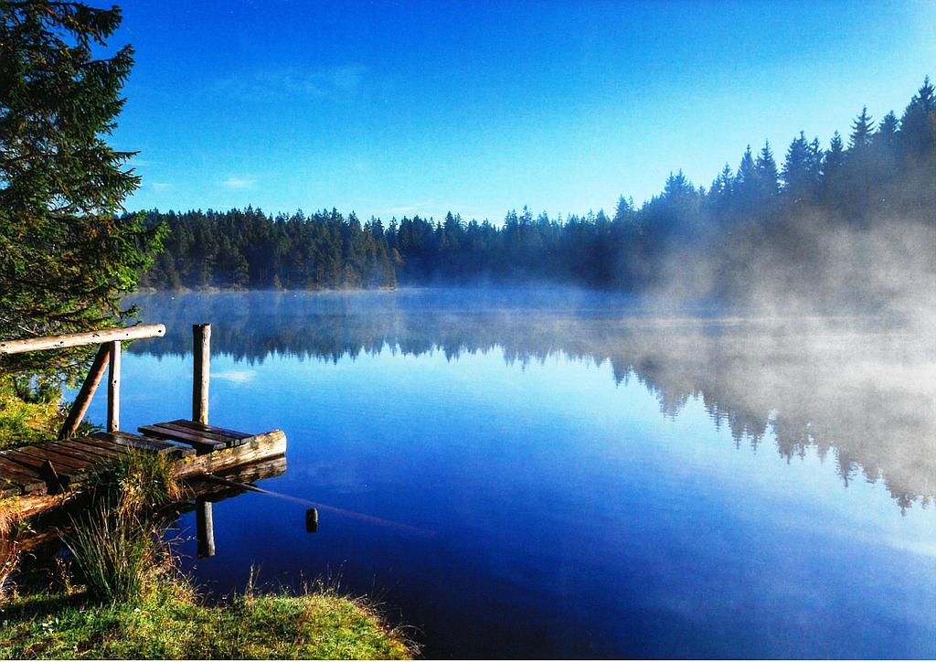 Postcards 27554 Etang de la Gruère