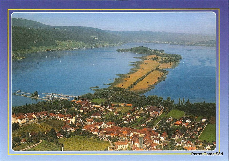 Postcards 15444 Erlach, île St-Pierre