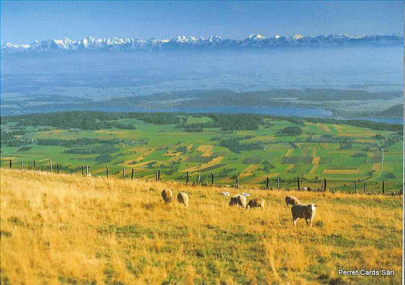 Postcards 20724 Lac de Bienne et plateau de Diesse