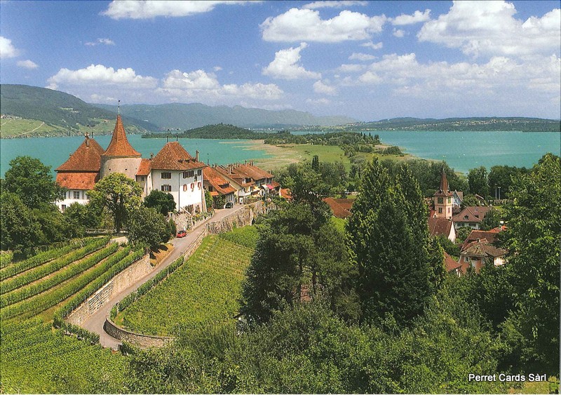 Postcards 25267 Erlach Blick auf Schloss und St. Petersinsel