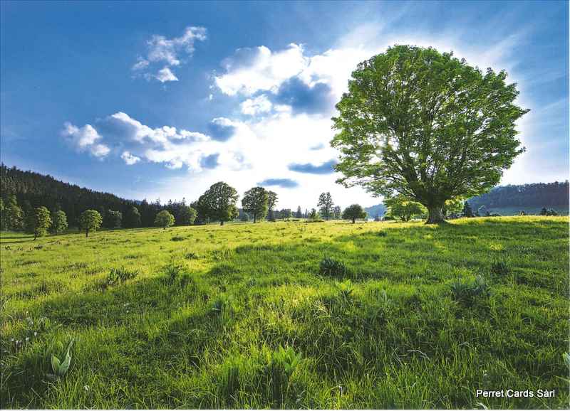 Postcards 13x18cm 53088 Chasseral Nature Park