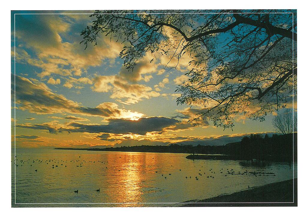 Postcards 00617 Lac de Neuchâtel
