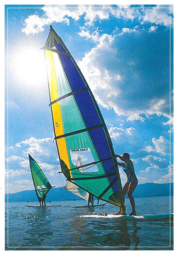Postcards 00618 Planche à voile sur le lac de Neuchâtel