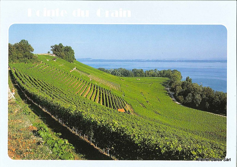 Postcards 20697 Bevaix Pointe du Grain