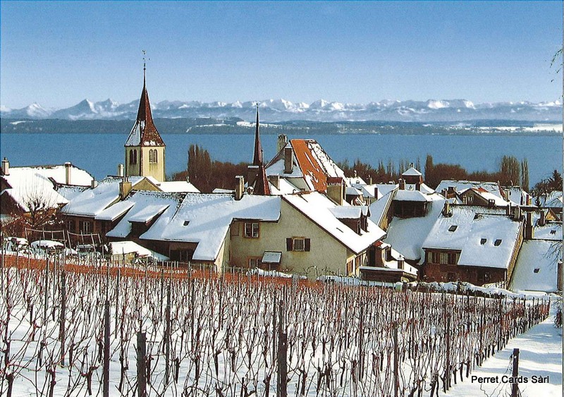 Postcards 23442 w Auvernier avec le lac de Neuchâtel