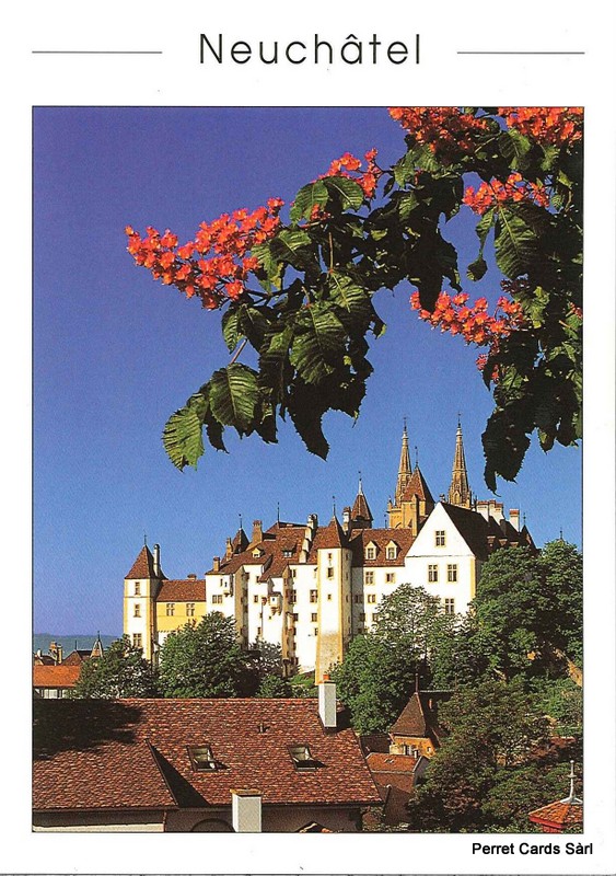 Postcards 23674 Neuchâtel, Vue du Château