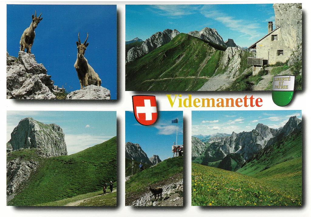 Postcards 18962 Rougemont-Videmanette