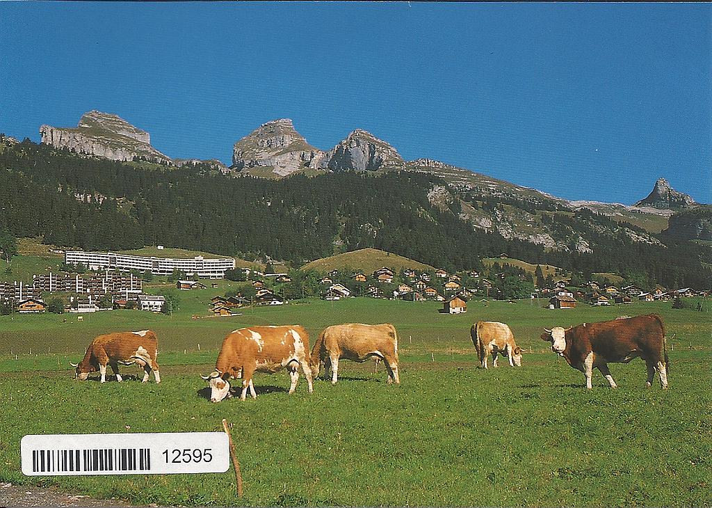 Postcards 12595 Leysin-Tour d'Aï et Mayen